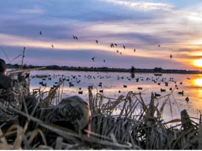 популярные бренды охотничьей одежды