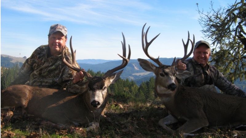 1753968739565561.jpg │б╛░═╝.jpg