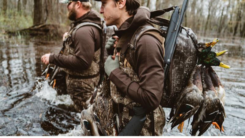 1761621497499401.png Picture 2.png