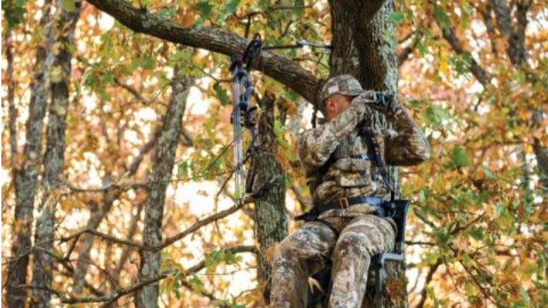 1753968762520797.jpg │б╛░═╝.jpg