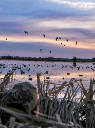 popular brands of hunting clothing