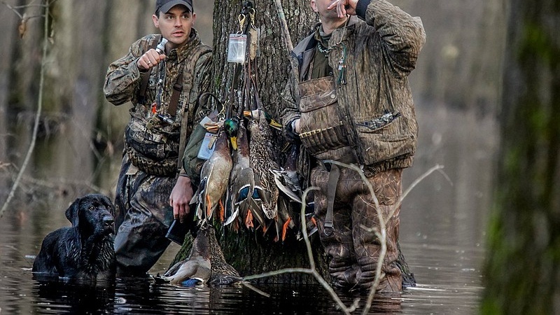 1753970787618720.jpg 场景图3.jpg