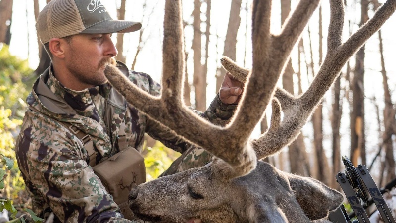 1762853016509275.jpg 10017.jpg