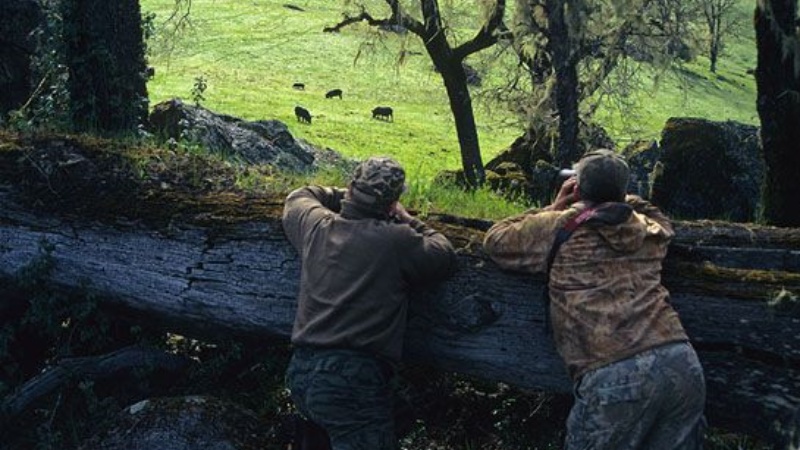 1753968210801536.jpg Cast and Blast_ Wild Boar Hunting and Fishing on California's Central Coast.jpg