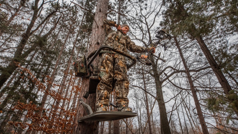 1762853312812210.jpg 10001.jpg