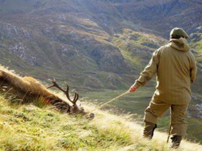 лучший жилет для охоты на апельсин